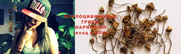 мескалин Абаза