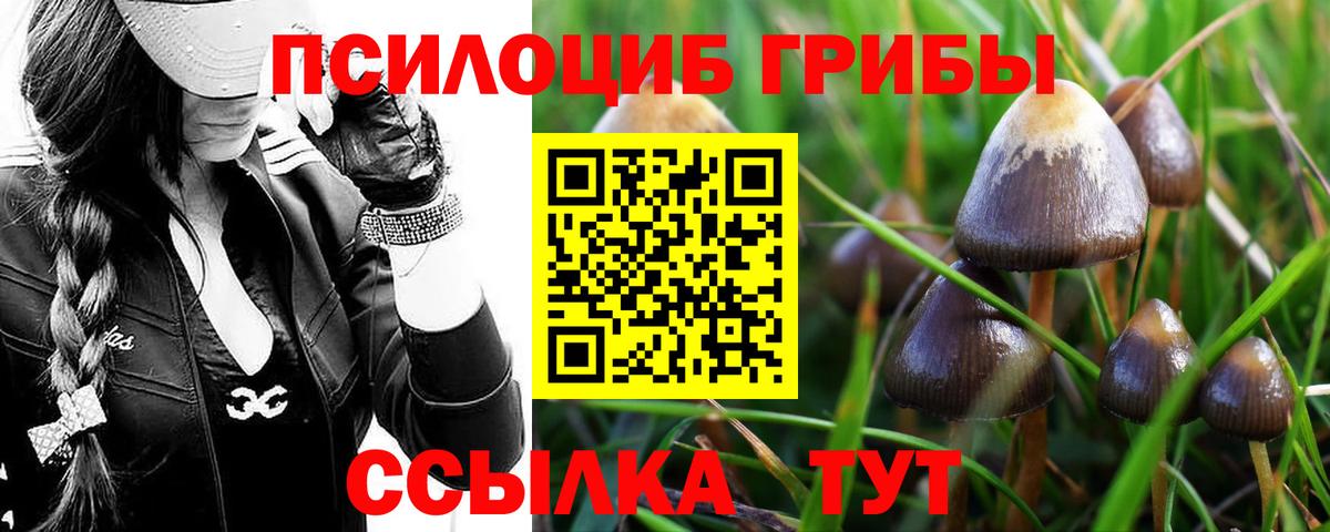 Орск  Псилоцибиновые грибы Magic Shrooms  что такое наркотик  Вход с VPN 